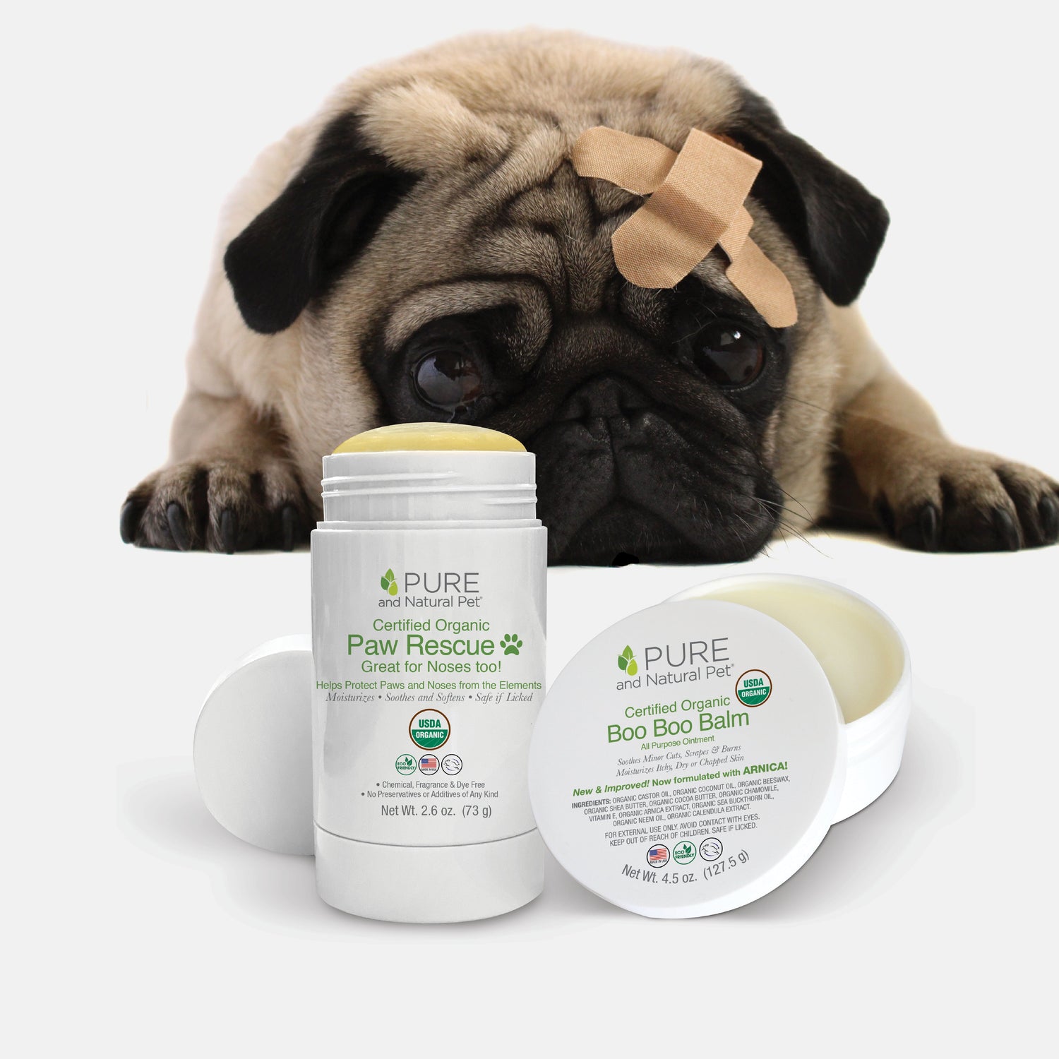 Health & Wellness