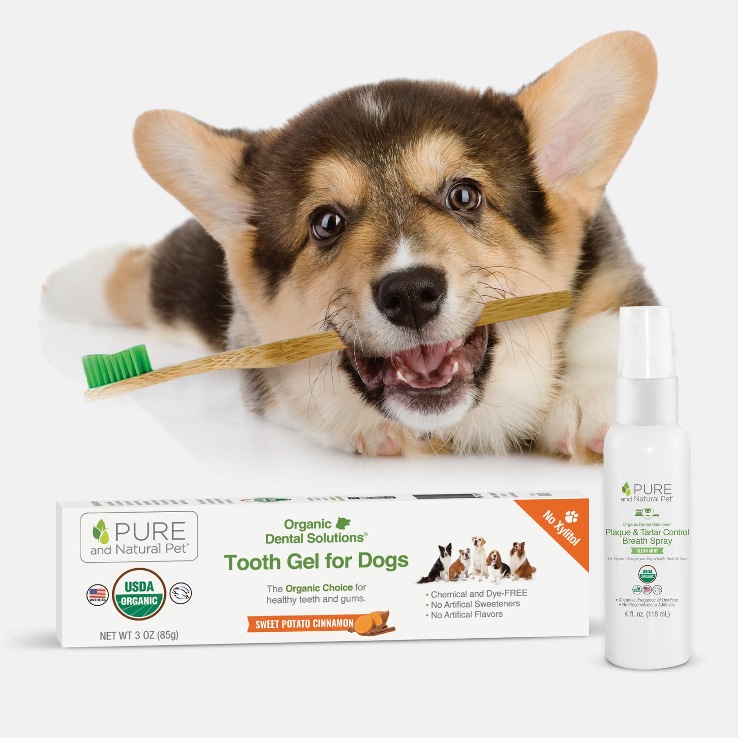 Dental and Oral Care