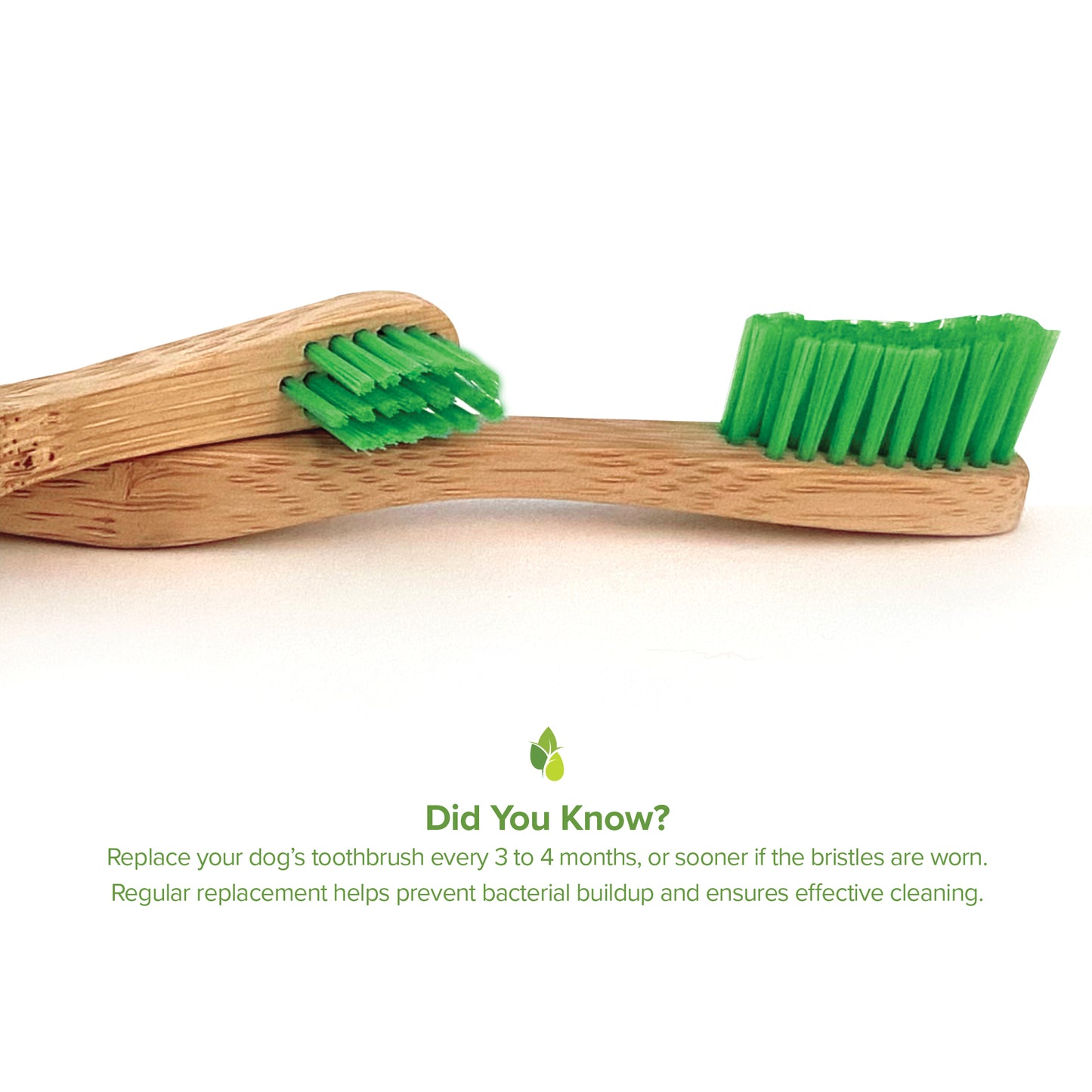 Tooth Gel and Bamboo Toothbrush for Small Dogs - Organic Dental Solutions® - Pure and Natural Pet