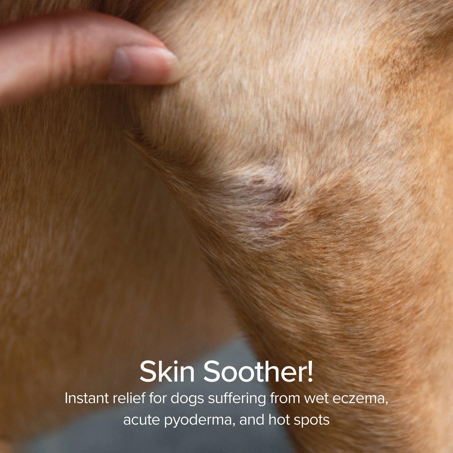 Foaming Hot Spot and Itch Relief - Pure and Natural Pet