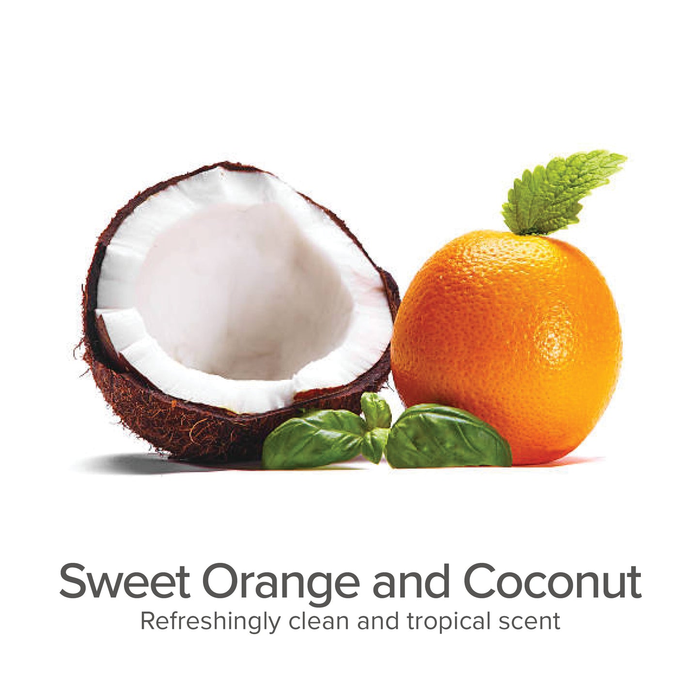 3-in-1 Shed Control Shampoo with Conditioner (Sweet Orange & Coconut) - Pure and Natural Pet