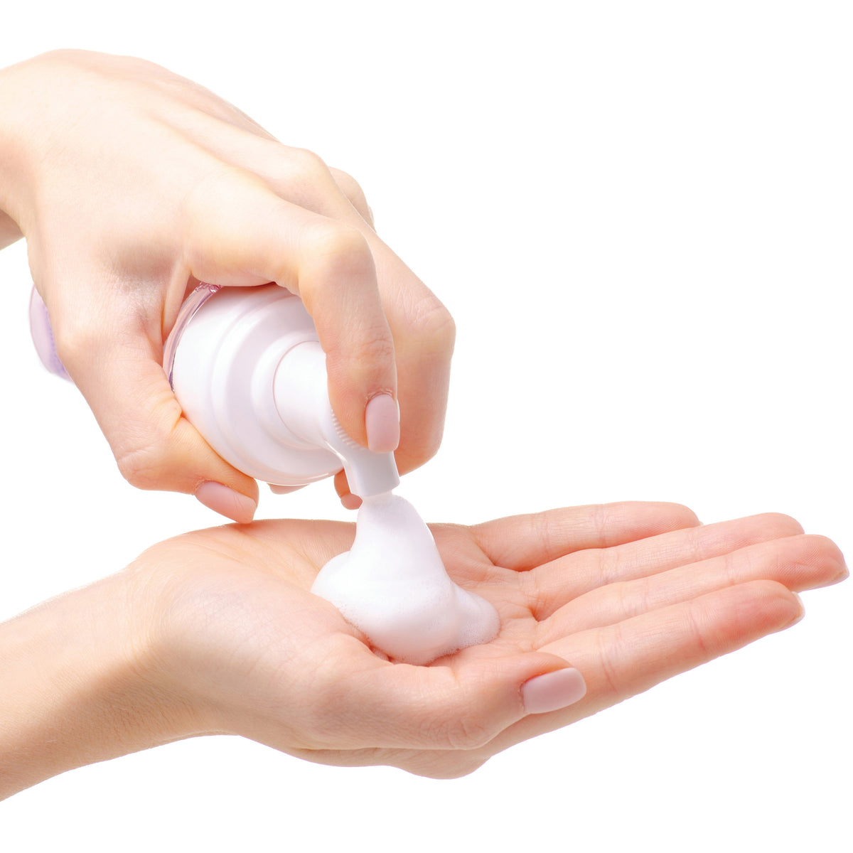 Organic Waterless Foaming Dog Shampoo Pure and Natural Pet