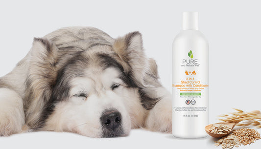 Why Oatmeal Extract Is a Skin Superhero for Pets