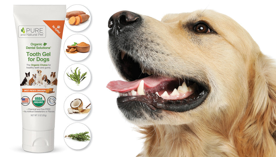 Five Natural Ingredients in Our Tooth Gel for Dogs (and Why We Love Them!)