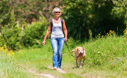 From Walks in the Woods to Weekend Getaways: Keeping Your Pet  Healthy on Every Adventure This Summer