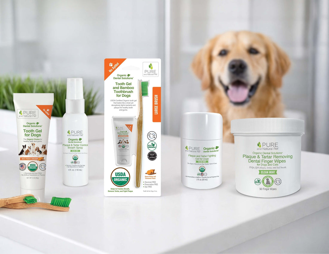 National Pet Dental Health Month: 5 Essential Tips Every Dog Owner Should Know
