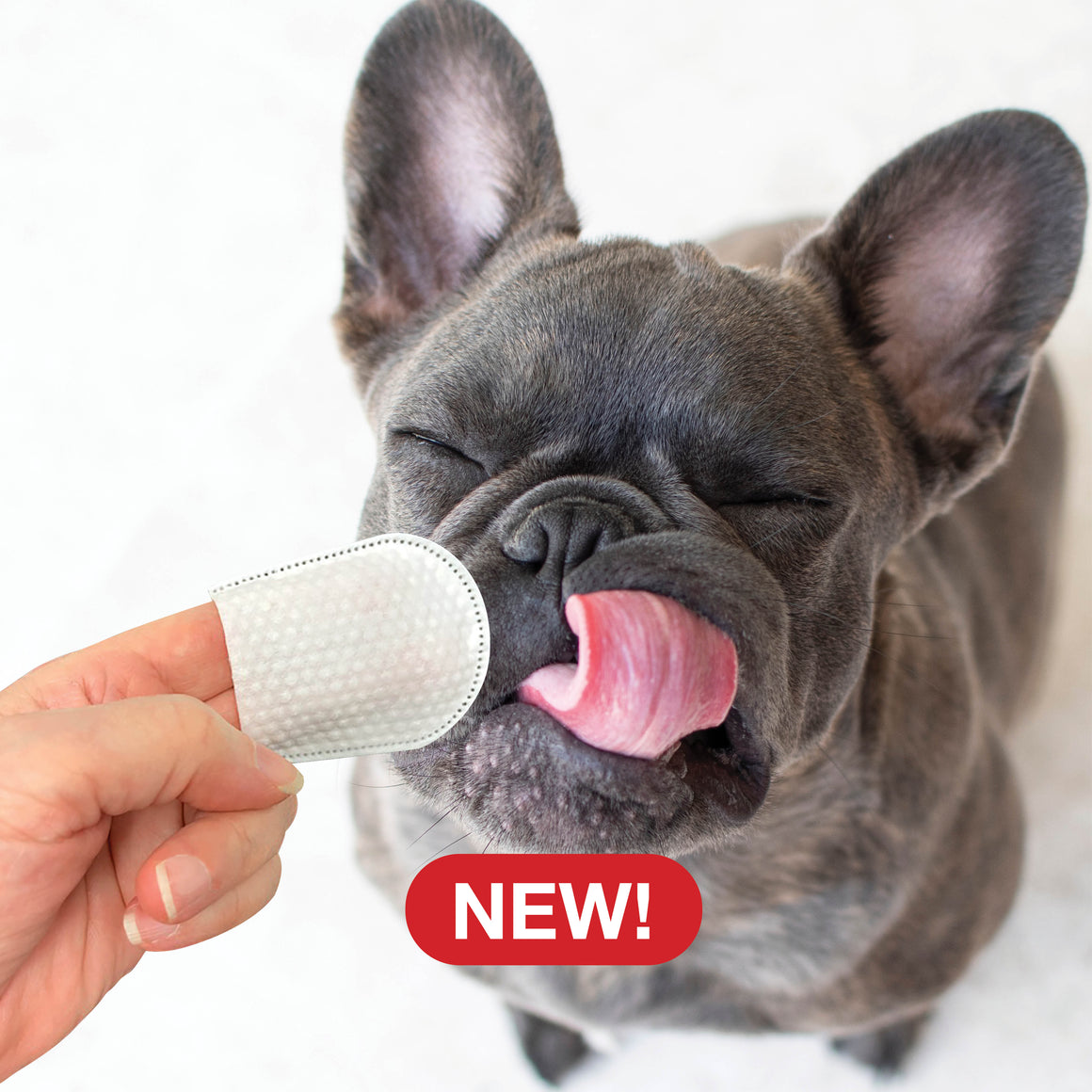 Dental and Oral Care Pure and Natural Pet