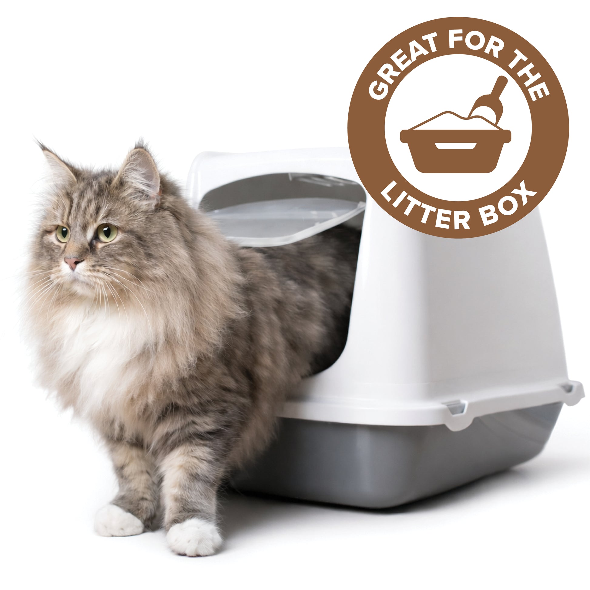 Stain and Odor Remover (Fragrance Free) - Pure and Natural Pet