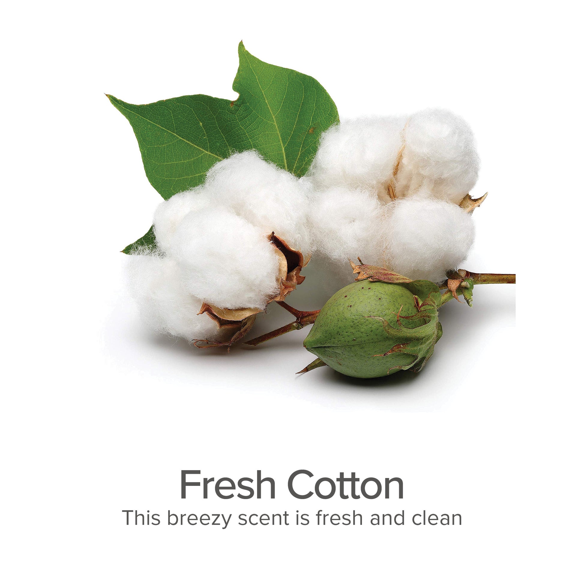 Between Bath Freshener (Fresh Cotton) - Pure and Natural Pet