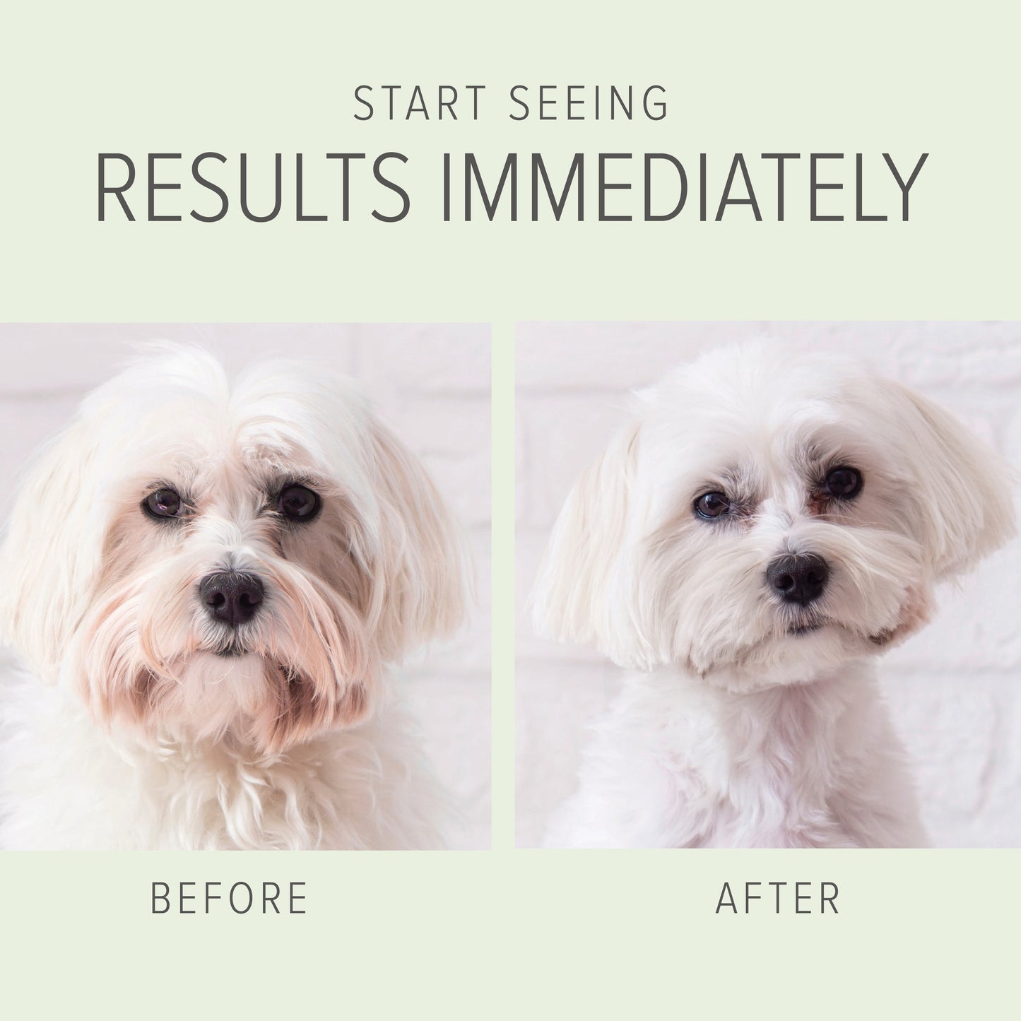 2-IN-1 Whitening & Brightening Shampoo & Conditioner (Milk and Honey) - Pure and Natural Pet