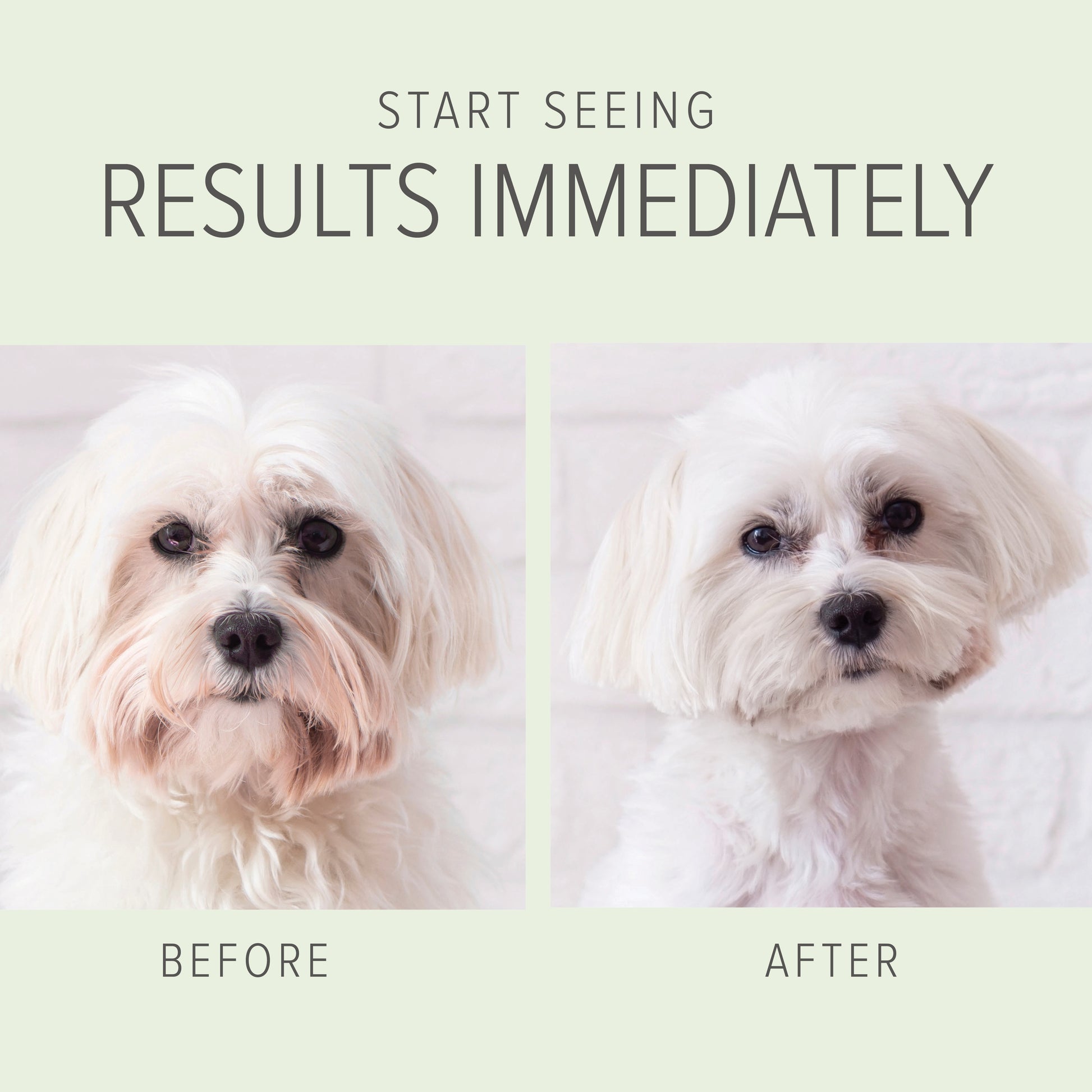 2-IN-1 Whitening & Brightening Shampoo & Conditioner (Milk and Honey) - Pure and Natural Pet